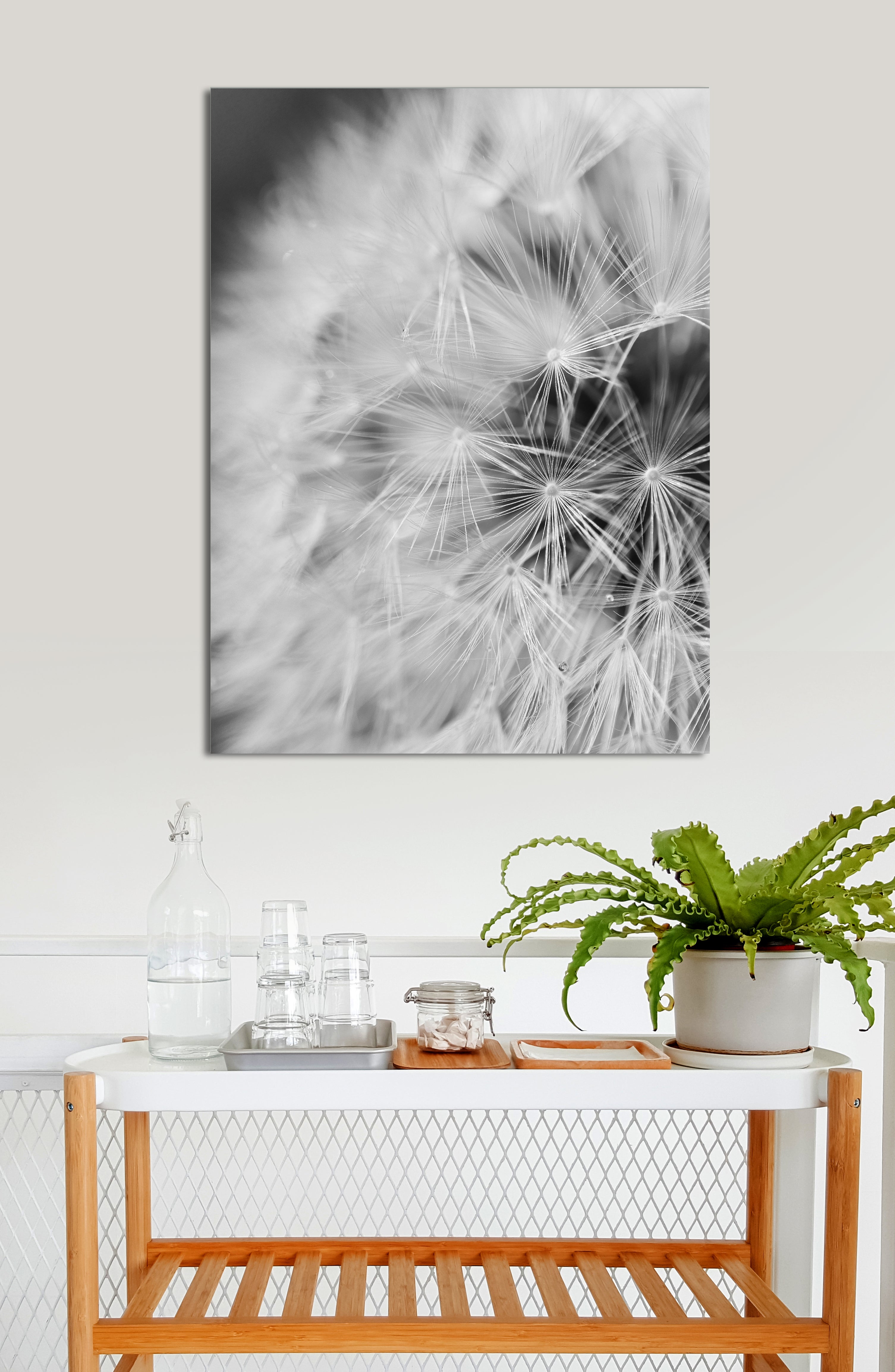 Hot Deal: Ready - To - Hang Wood - Framed Closeup Dandelion Nature Wall Art