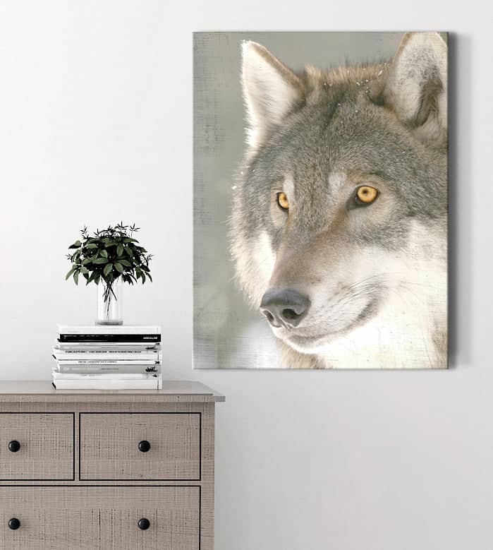 Exclusive Wolf Face Animal Wall Art - Wood Frame, Ready to Hang!