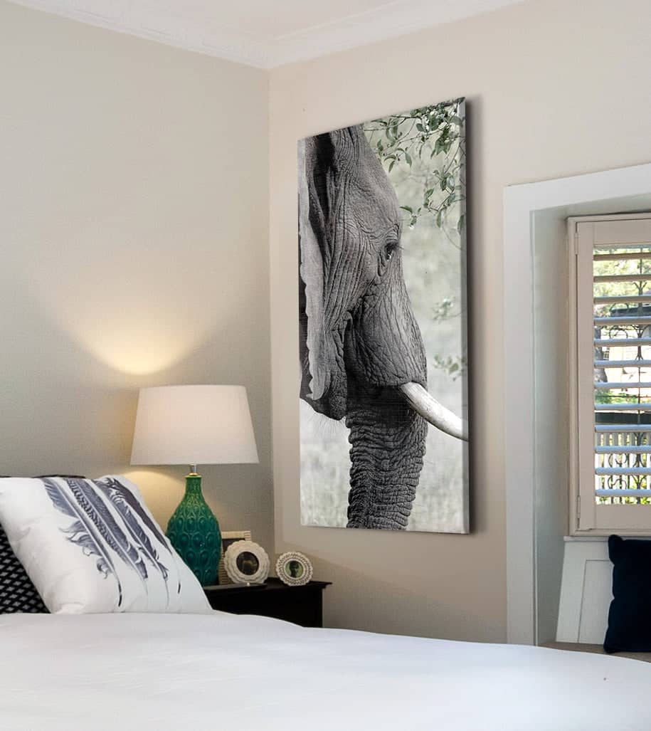 Hot Deal! Elephant Side Face Animal Wall Art with Wood Frame, Ready to Hang