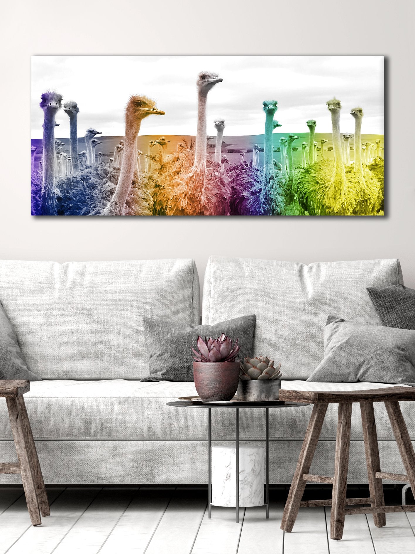 High - quality Ostrich Rainbow Bird Wall Art with Wood Frame, Ready to Hang