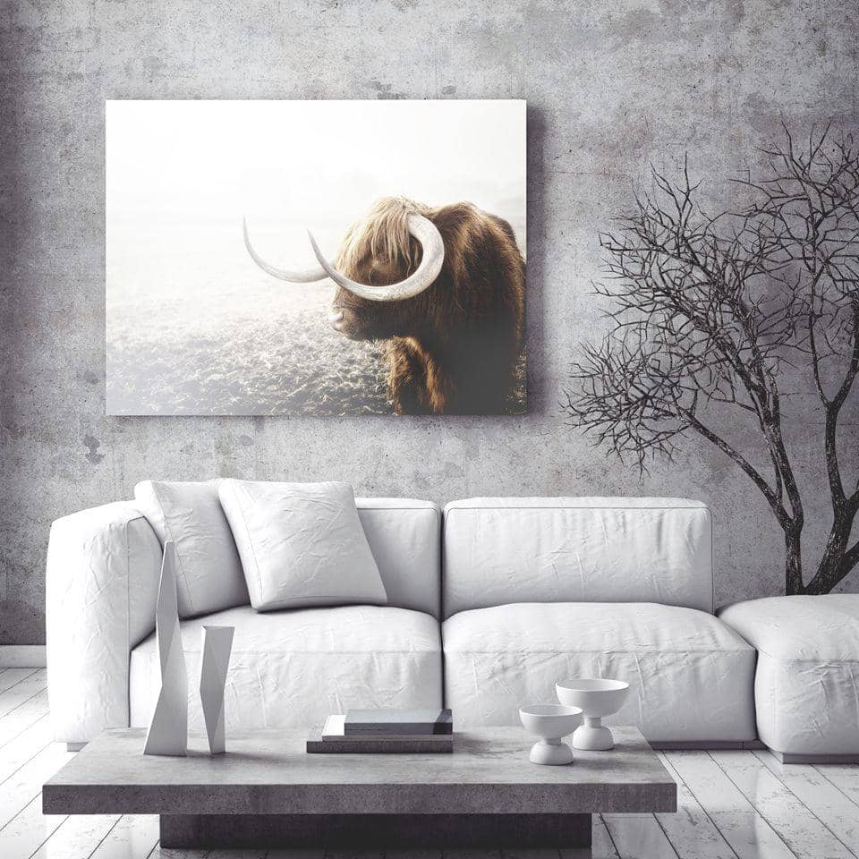 Hot Deal! Ready-to-Hang Highland Cattle Animal Wall Art V4 with Wood Frame