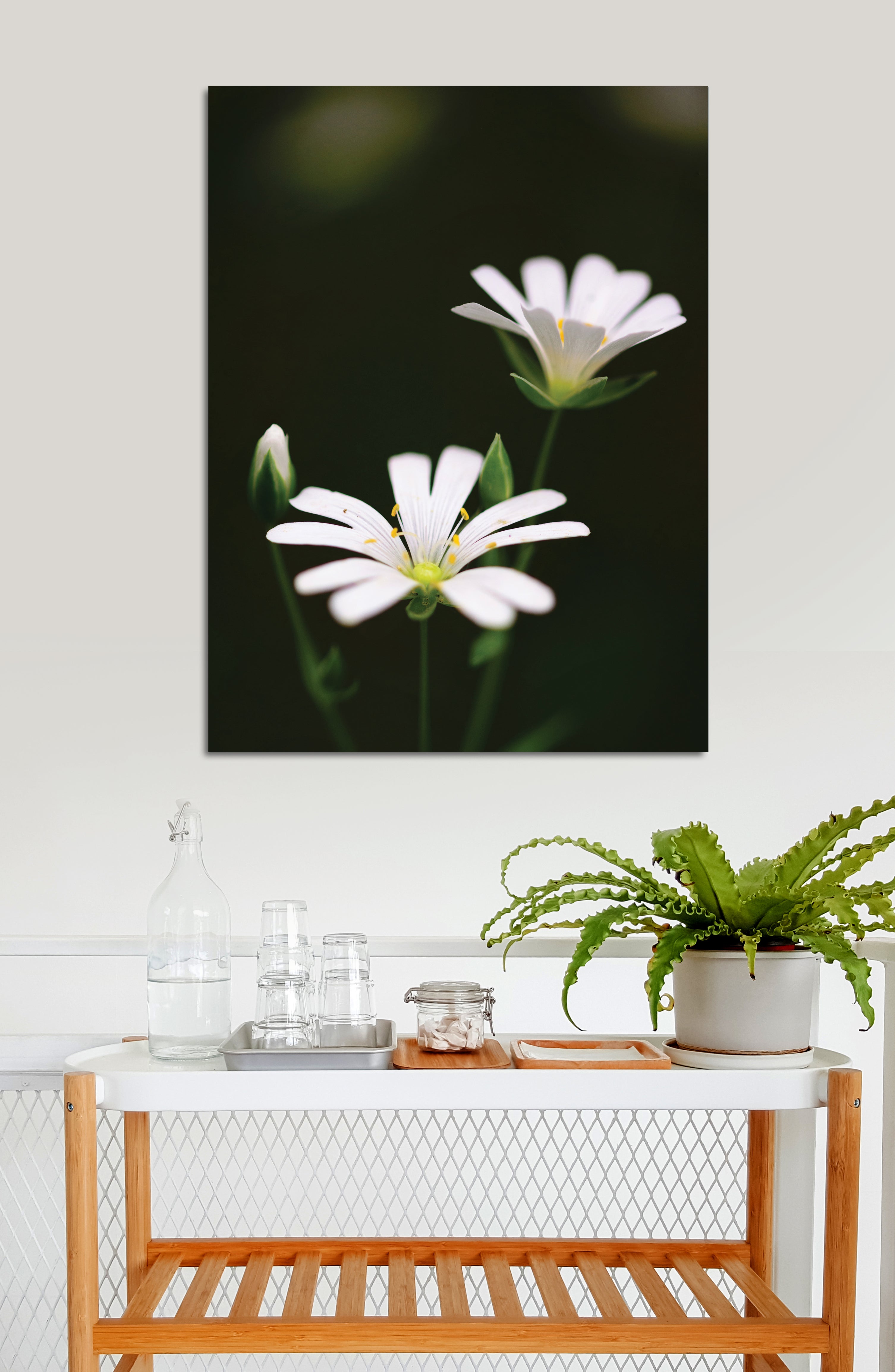 Ready-to-Hang White Flower Wall Art with Wood Frame