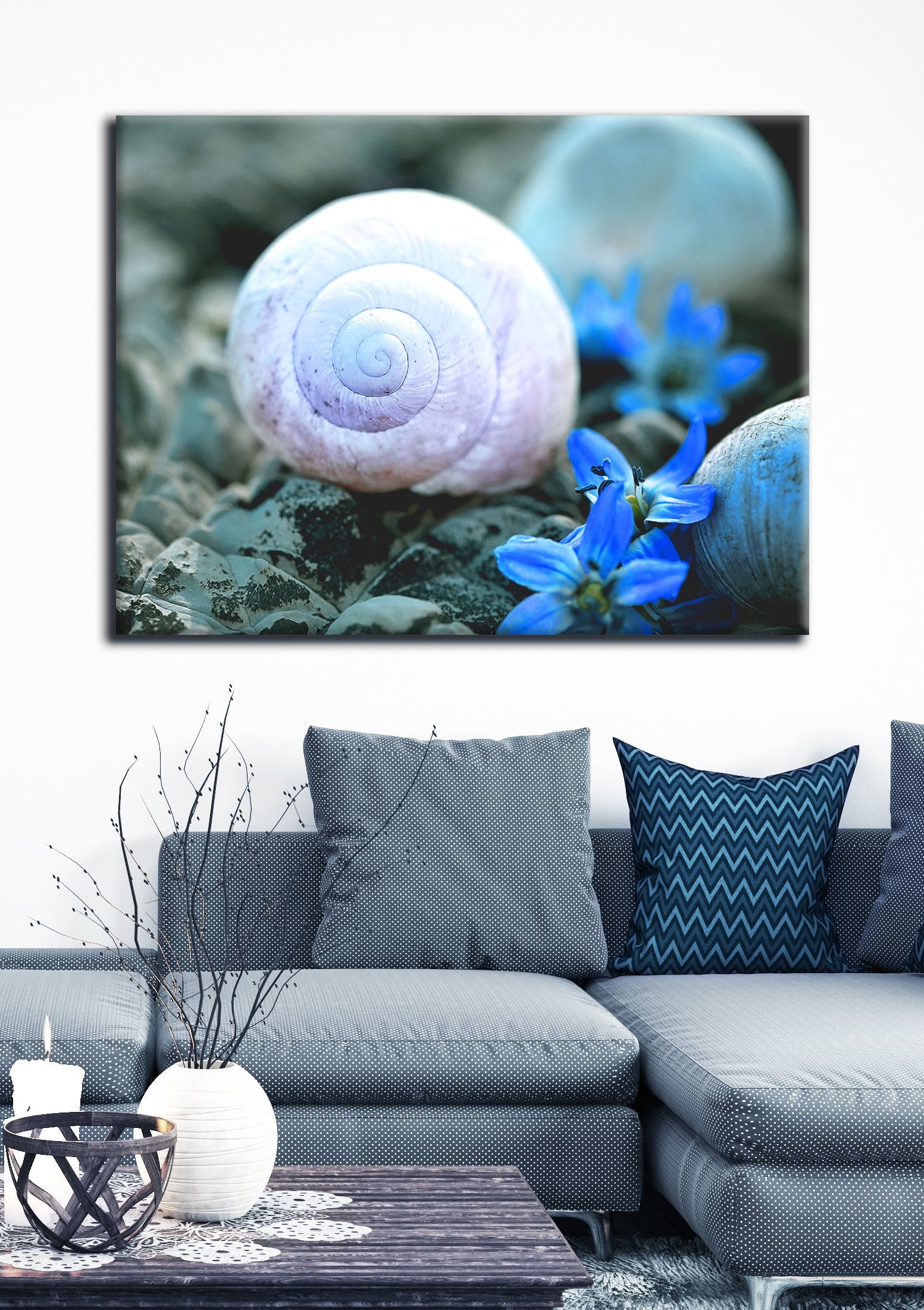 Ready - To - Hang Wood - Framed Insect Wall Art: Snail Shell Design