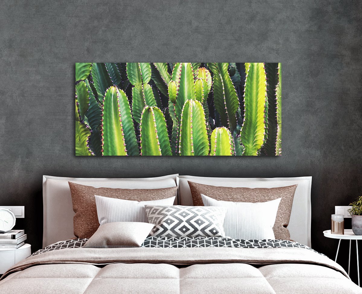 Hot Deal! Ready - to - Hang Multiple Cactus Plant Wall Art with Wood Frame